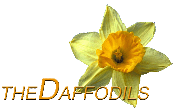 The Daffodils